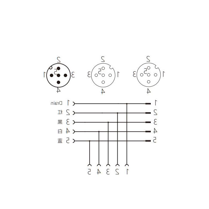 M12 5Pin公头/2M12 5Pin母头、T型连接器、0C4555